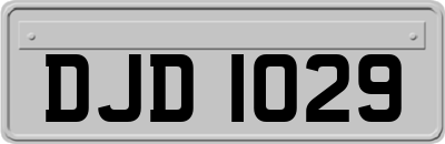 DJD1029
