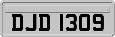 DJD1309