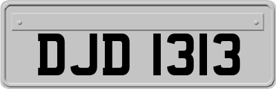 DJD1313