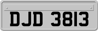 DJD3813