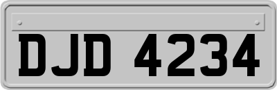 DJD4234