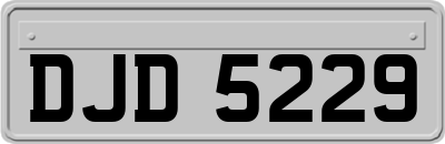 DJD5229