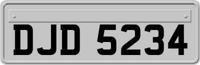 DJD5234