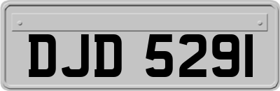 DJD5291