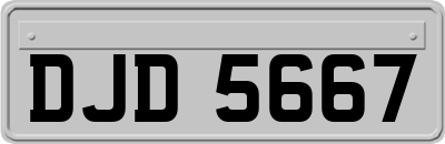 DJD5667