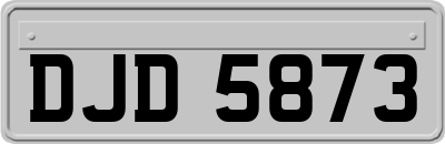 DJD5873