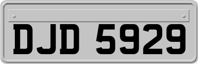 DJD5929