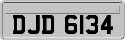 DJD6134