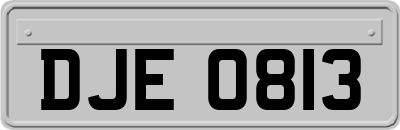 DJE0813
