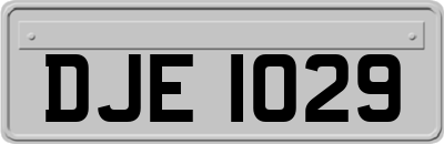 DJE1029