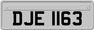 DJE1163