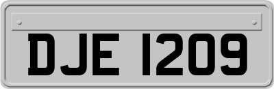 DJE1209