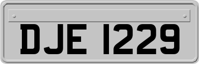 DJE1229