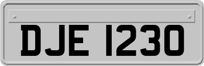 DJE1230