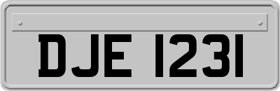 DJE1231