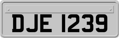 DJE1239