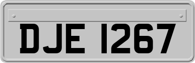 DJE1267