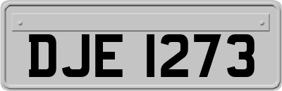 DJE1273