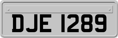 DJE1289