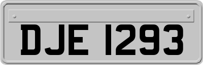 DJE1293