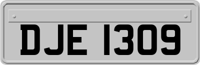 DJE1309
