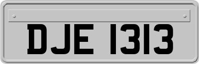 DJE1313