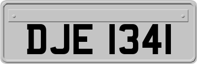 DJE1341