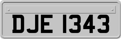 DJE1343