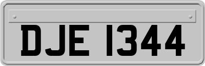 DJE1344
