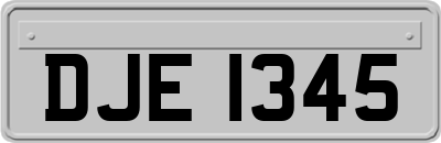 DJE1345