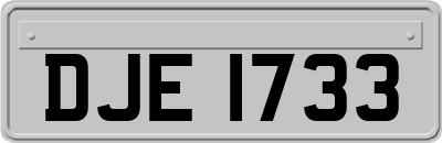 DJE1733