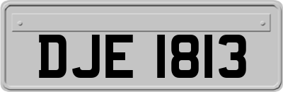 DJE1813