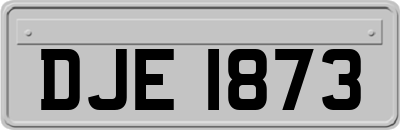 DJE1873