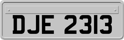 DJE2313
