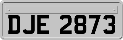 DJE2873