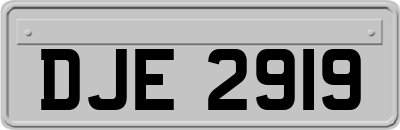 DJE2919