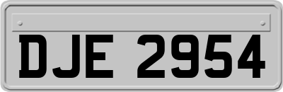 DJE2954
