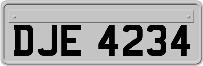DJE4234