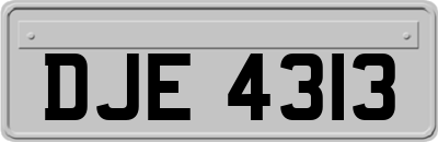 DJE4313