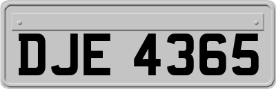 DJE4365