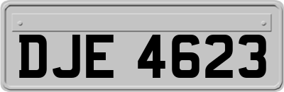 DJE4623