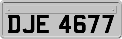 DJE4677