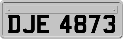 DJE4873