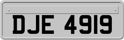 DJE4919