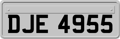 DJE4955