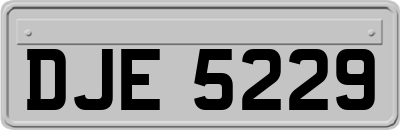 DJE5229