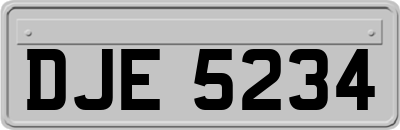 DJE5234