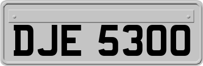 DJE5300