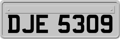 DJE5309