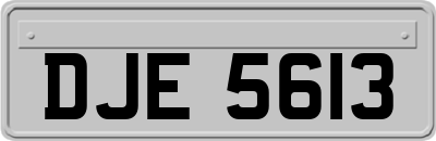 DJE5613